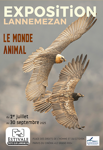 Estivale Photoclub Lannemezan