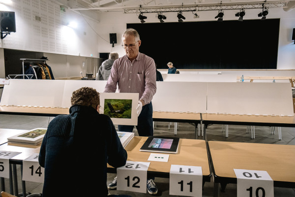 Présentation des photos au juge