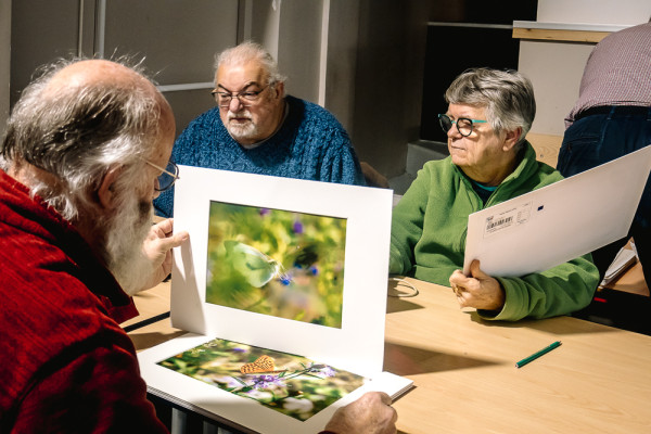 Saisie des notes et contrôle des photos